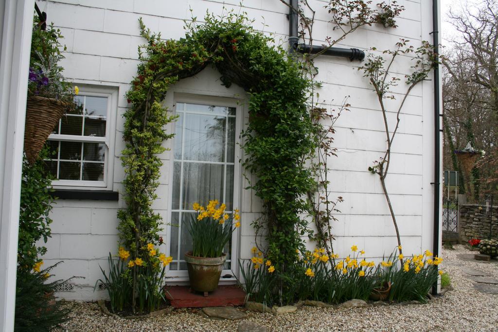 Clayhill House Bed & Breakfast Lyndhurst Eksteriør billede